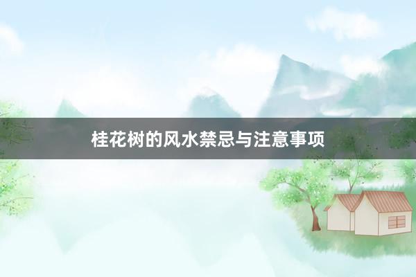 桂花树的风水禁忌与注意事项