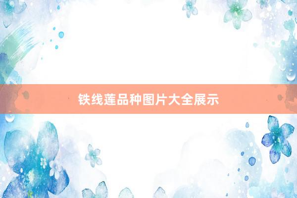 铁线莲品种图片大全展示