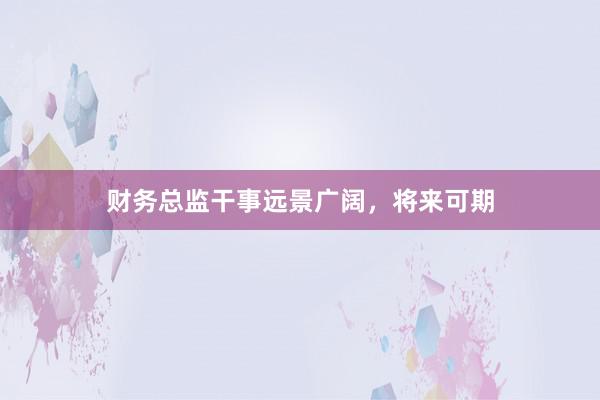 财务总监干事远景广阔，将来可期